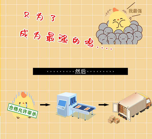 文章长图_13.jpg